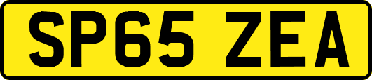 SP65ZEA