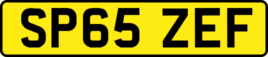 SP65ZEF