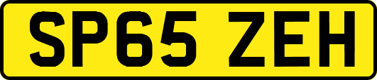 SP65ZEH