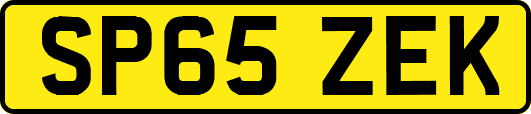 SP65ZEK