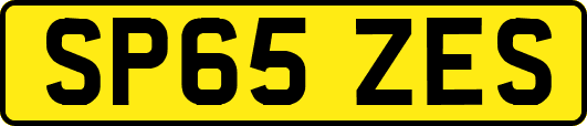 SP65ZES