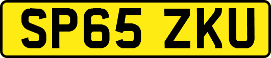SP65ZKU