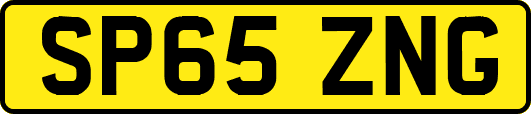 SP65ZNG