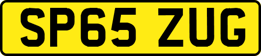 SP65ZUG