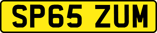 SP65ZUM