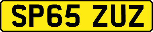 SP65ZUZ