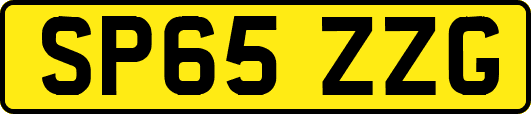 SP65ZZG