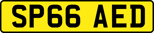 SP66AED
