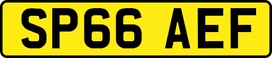 SP66AEF