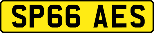 SP66AES