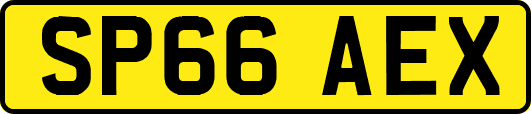 SP66AEX