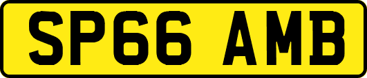 SP66AMB