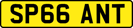 SP66ANT