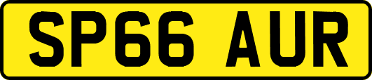 SP66AUR