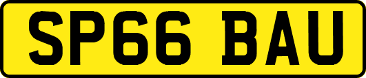 SP66BAU