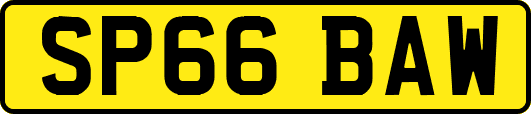 SP66BAW