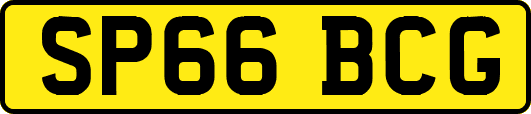 SP66BCG