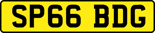 SP66BDG