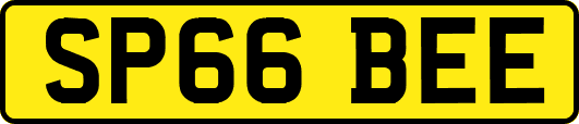 SP66BEE