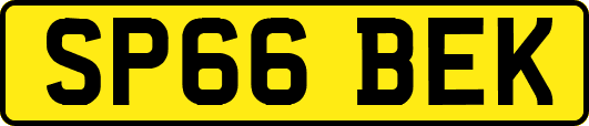 SP66BEK