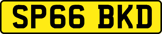 SP66BKD