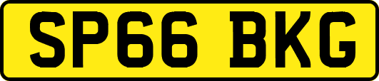 SP66BKG