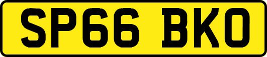 SP66BKO
