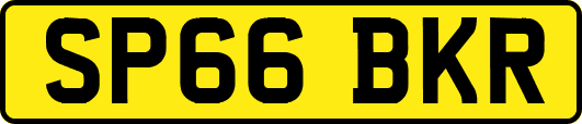SP66BKR