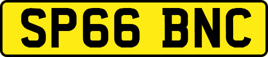 SP66BNC