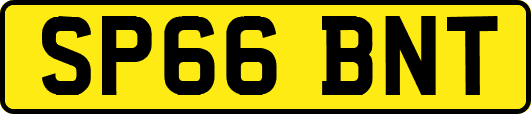 SP66BNT