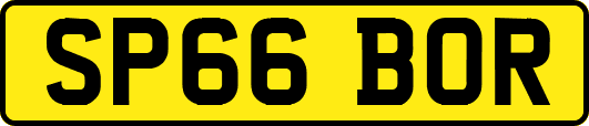 SP66BOR