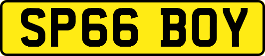 SP66BOY