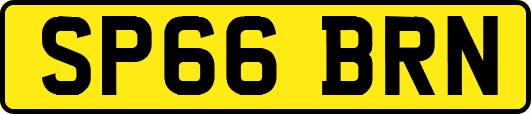 SP66BRN