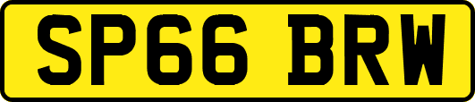 SP66BRW