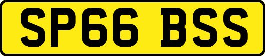 SP66BSS