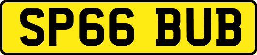 SP66BUB