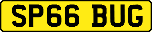SP66BUG