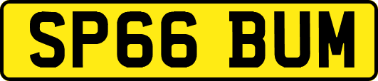 SP66BUM