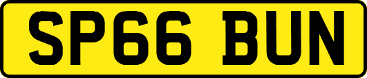 SP66BUN