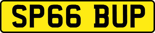 SP66BUP