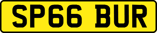 SP66BUR