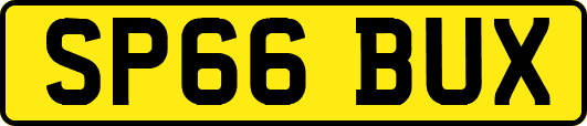 SP66BUX