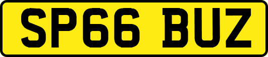 SP66BUZ
