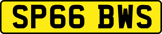 SP66BWS