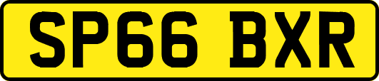 SP66BXR