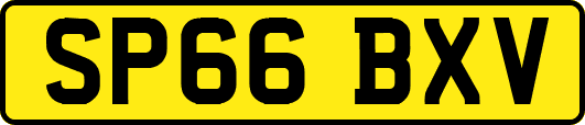 SP66BXV
