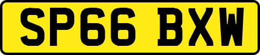 SP66BXW