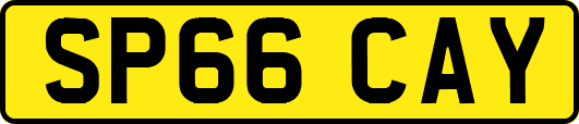 SP66CAY