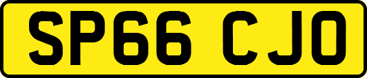 SP66CJO