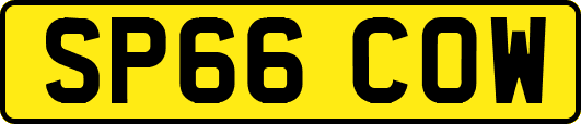 SP66COW